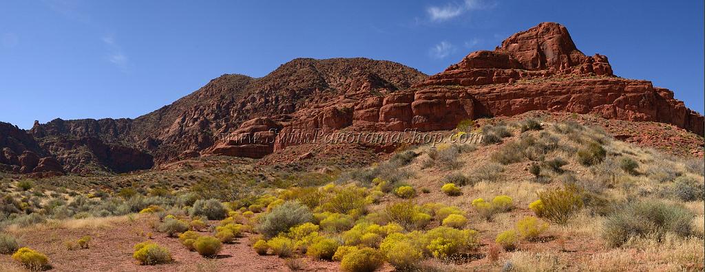 Fine Art Nature Photography/WPL/USA/Utah/Pine Valley ...
